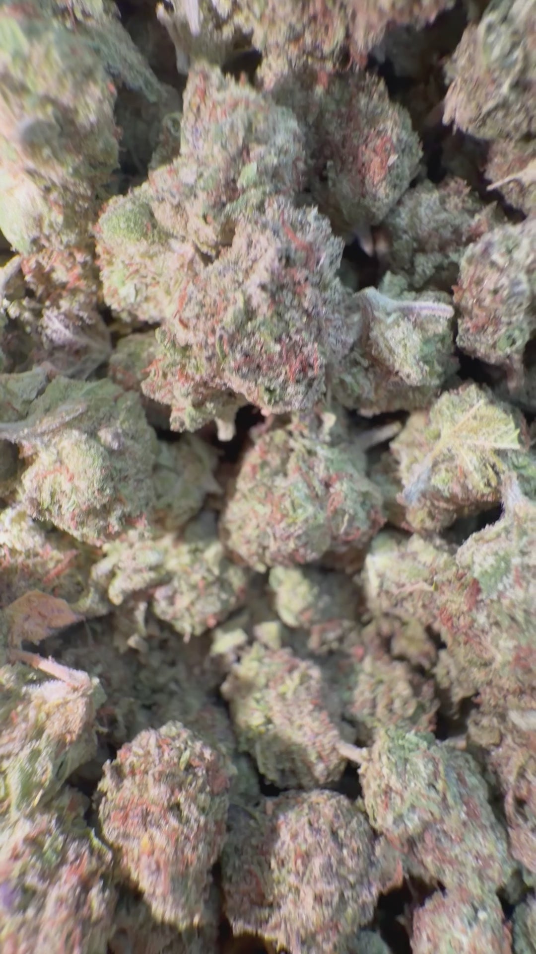 OG Kush