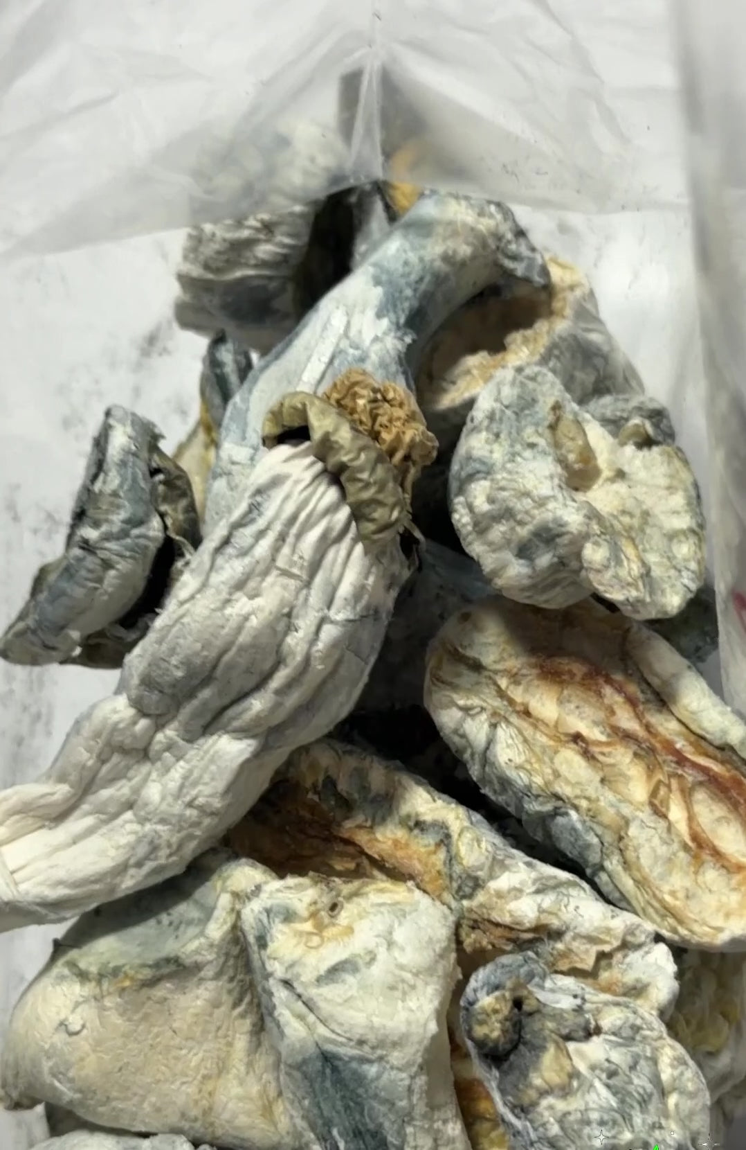 Blue Meanies (Potent)